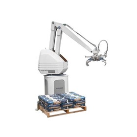 Robotic Palletizer | FUJI EC-201