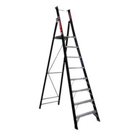 Platform Ladder | Fibreglass | 210179