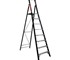 Platform Ladder | Fibreglass | 210179