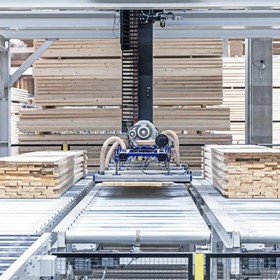 Spiders: Essential Tools for Efficient Timber Construction