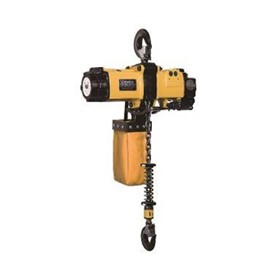 EHL Series Chain Air Hoist (Pendant) | Global Track