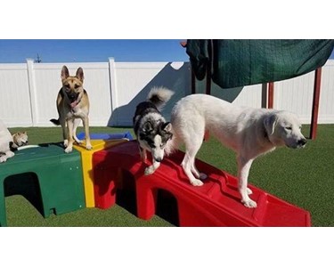 Puppy Playground - Dog Agility Equipment | Pro Series Kits