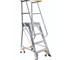 All Storage Systems - Order Picker Ladder