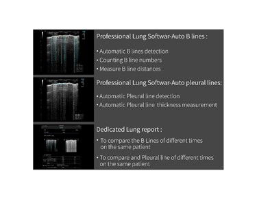 Professional Lung Software