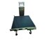 LongHouse - Checkweighers | CW-20A, CW-50A