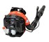 Echo - Backpack Blower (PB-760LN)