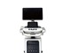 SsaEcho 20 Series Ultrasound 