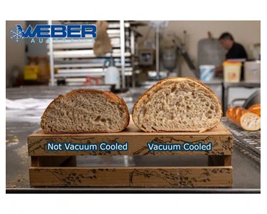Weber Vacuum Cooler