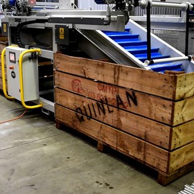 Dual Bin Filler | Fully Automatic