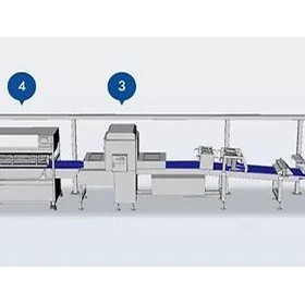 Bread Production Line | V4-Artisan Bread Line