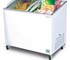 Commercial Chest Freezer | CF0300ATCG