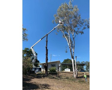 Platform Basket - 2714 ED Spider Lift