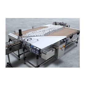 Conveyors and Accumulations Systems - Bi-directional Table