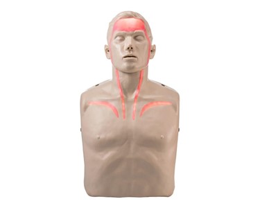 Brayden - CPR Manikins LED Blood Circulation