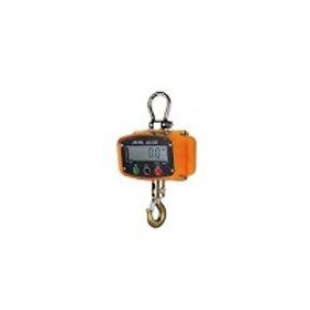 Mini Crane Scales Light Duty Supplied with Hand Held Remote | KOCS-XZ 