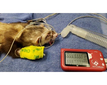 Sentier - Veterinary Vital Signs Monitor | Vetcorder Pro and AirMate