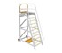 Steprite - Mobile Platform Ladder | 2750mm