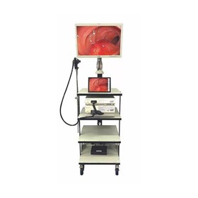 Veterinary Video Endoscopy System | EVIS EXERA II 180