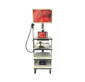 Veterinary Video Endoscopy System | EVIS EXERA II 180