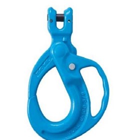 PWB Clevis Grip Safe Locking Hook Gr10