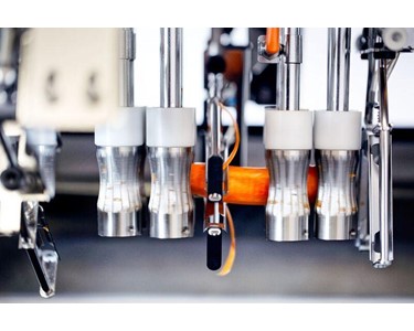Peeling Machine | Tenrit Solo C