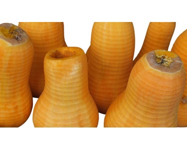 PND Fruit & Vegetable Peeler 