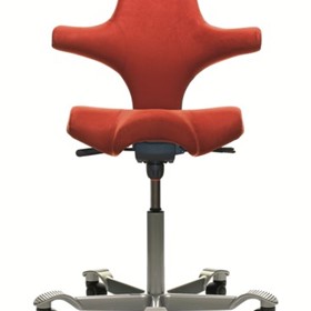 Dental Chairs | HÅG Capisco - The Ultimate