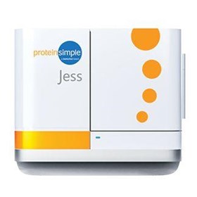 Jess Automated Protein Analysis System