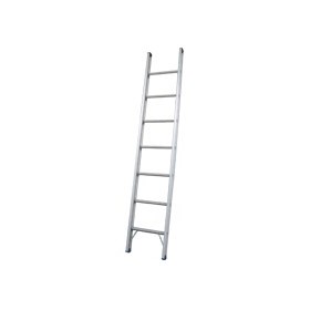 Aluminium Single Access Ladders 20ft 6.1m | Pro Series