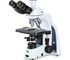 Euromex Darkfield Microscope | iScope