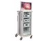 Stryker - 1288 Veterinary Surgical Endoscopic Tower