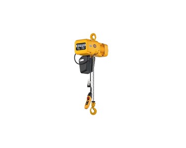 Electric Chain Hoists Dual Speed | Er2 Series 