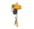 Electric Chain Hoists Dual Speed | Er2 Series 