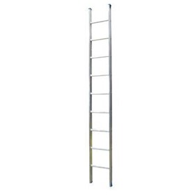 Single Ladder | Aluminium | 210346