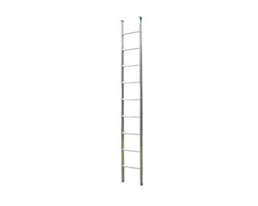 Single Ladder | Aluminium | 210346