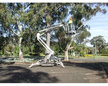 Spider Lifts 13 Hp Petrol | Monitor 1575 