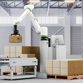 TOMA™ - PAL Series palletizer l PAL-0830