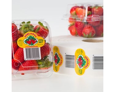 insignia prints & manufactures high-quality labels for a wide range of applications