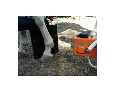 EcoRay -  Portable Veterinary X-Ray Machine | Ecoray Orange 1060 HF VET 