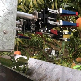 Mango Picking Machine