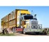 Kenworth - Livestock Truck | T909 