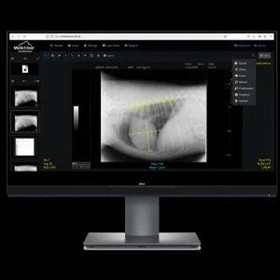 PACS Imaging System | Clinic Private Cloud PACS Solution