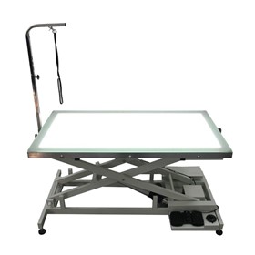 Electric Lift Table with LED Light