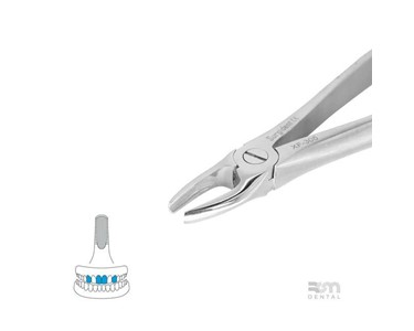 Surgical Forceps | 1 Incisors and Biscuspids
