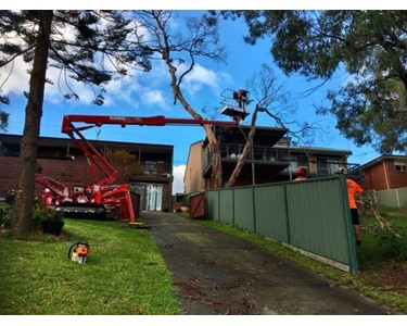 Spider Lifts 230 kg | CMC S22HD