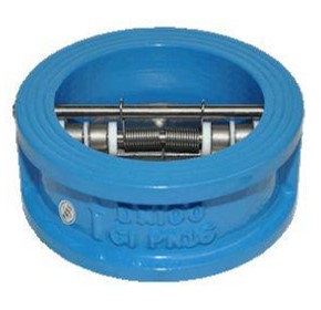 Water Check Valve