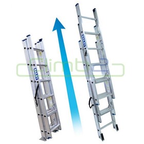 Triple Extension Ladders