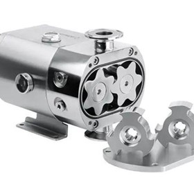 Sepak Lobe Pumps 