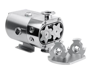 Sepak Lobe Pumps 