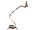 JLG - Compact Crawler Boom | X13J Plus New 